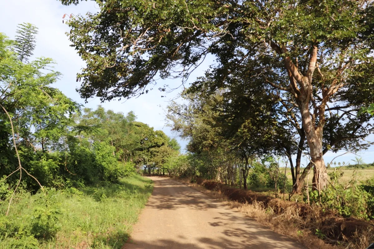 Terreno/Granja en Venta en Las Tablas