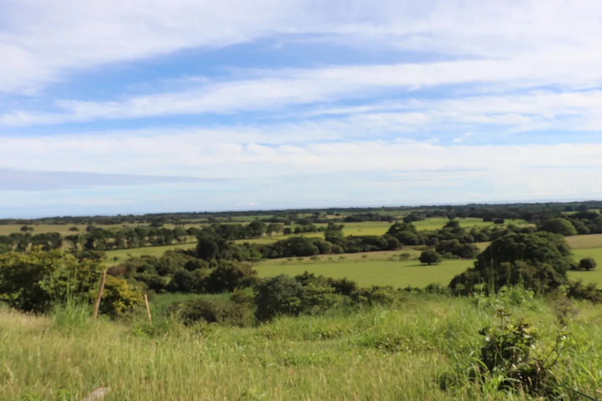Terreno/Granja en Venta en Las Tablas