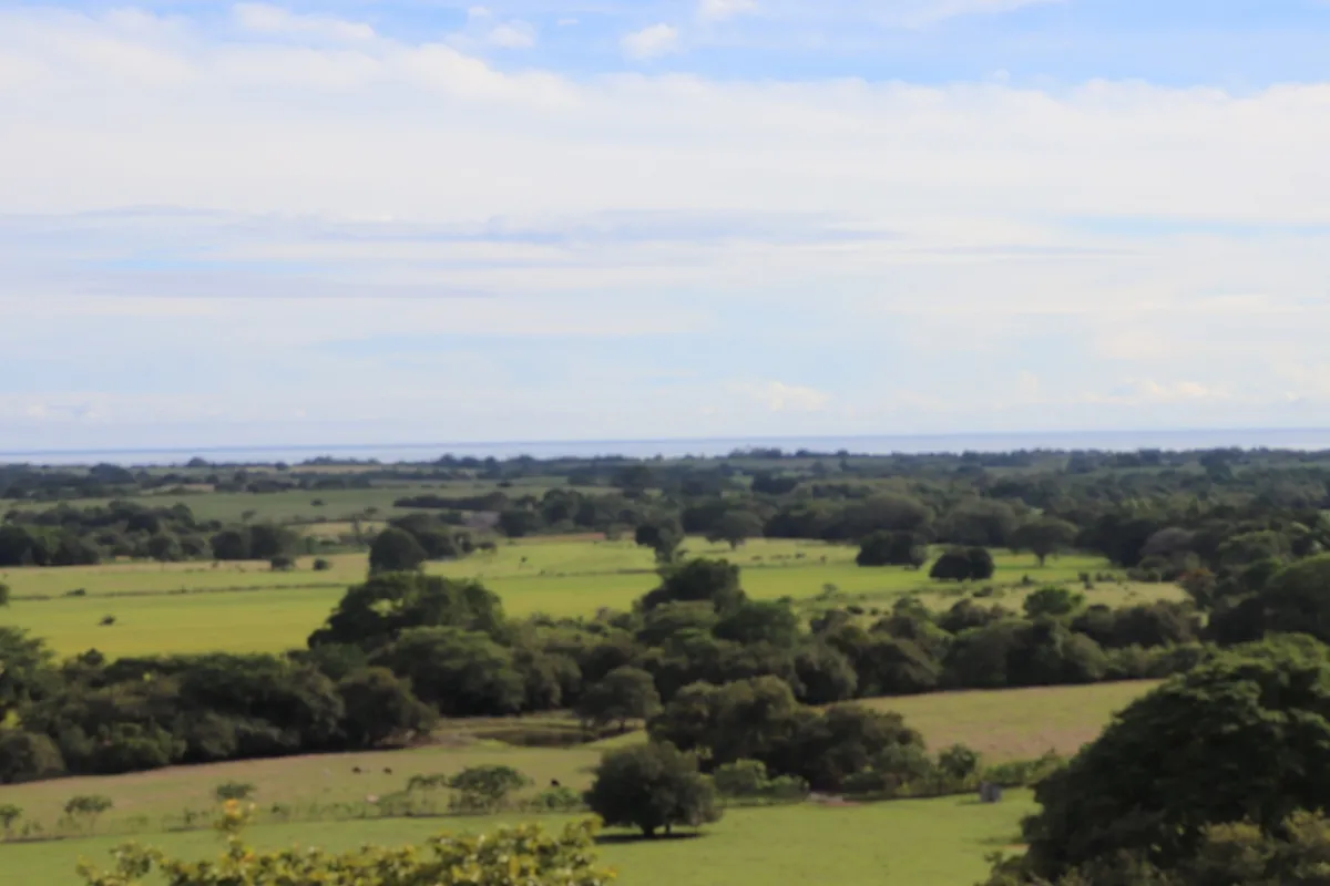 Terreno/Granja en Venta en Las Tablas