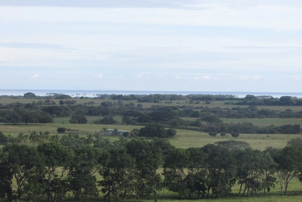 Terreno/Granja en Venta en Las Tablas