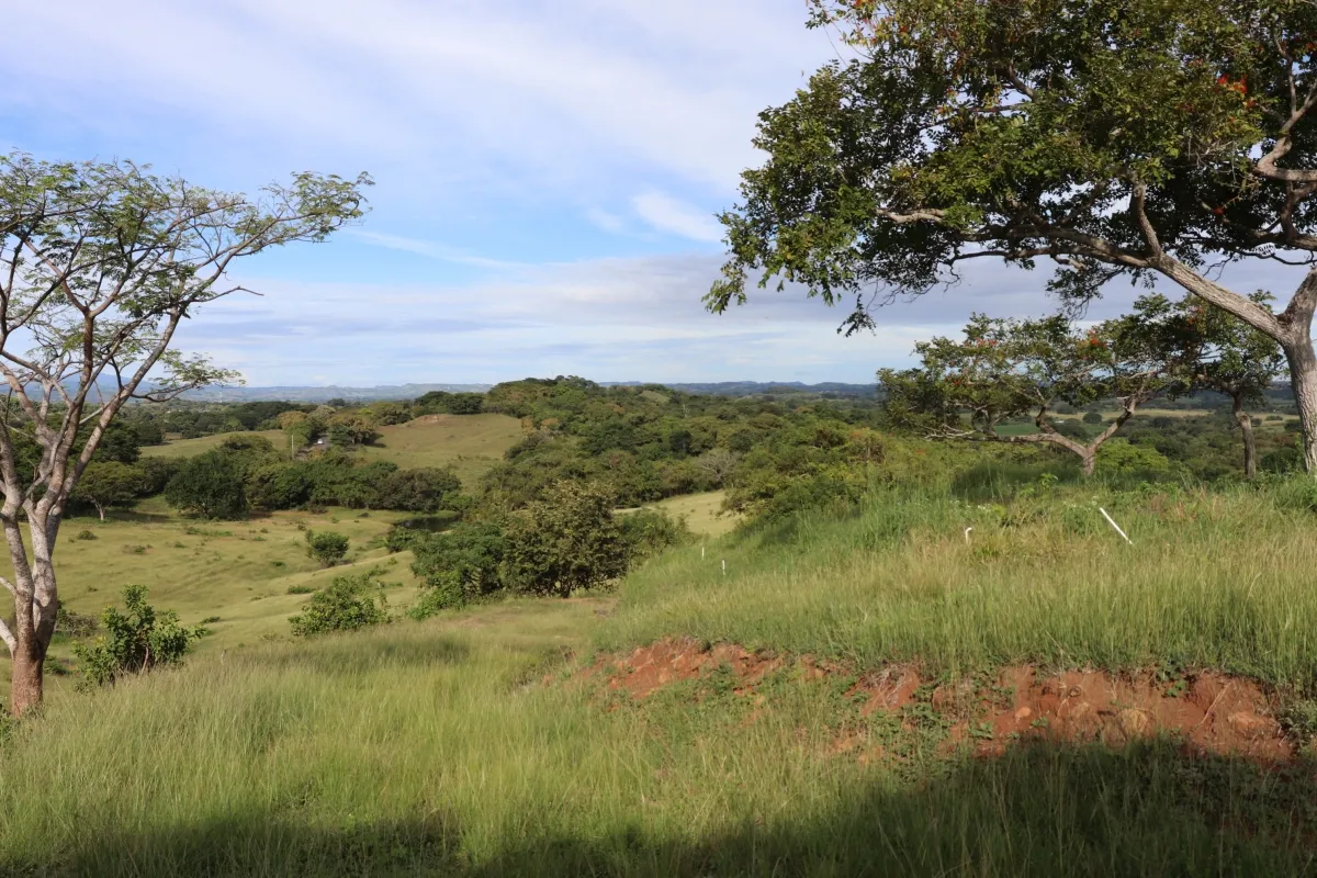 Terreno/Granja en Venta en Las Tablas