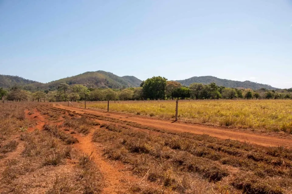 SE VENDE GRAN TERRENO EN AGUAS BLANCAS, VERAGUAS. DE 55 HECTAREAS