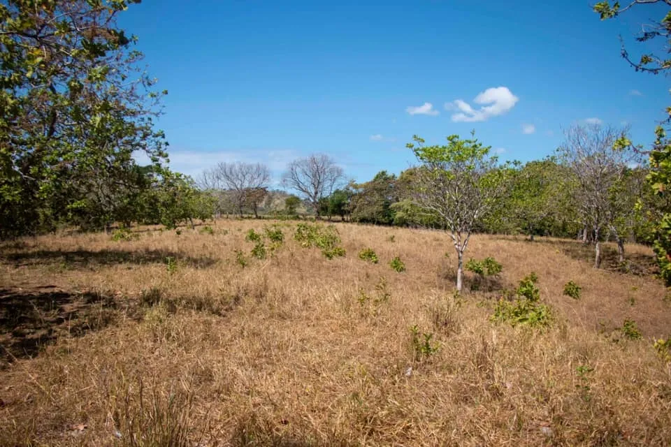SE VENDE GRAN TERRENO EN AGUAS BLANCAS, VERAGUAS. DE 55 HECTAREAS