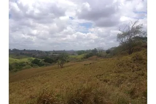 SE VENDE TERRENO EN PLAYA LEONA, LA CHORRERA. PANAMÁ. 143 HECTARÉAS