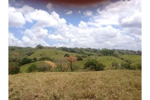 SE VENDE TERRENO EN PLAYA LEONA, LA CHORRERA. PANAMÁ. 143 HECTARÉAS