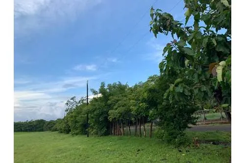 Se Vende Terreno en Santa Catalina