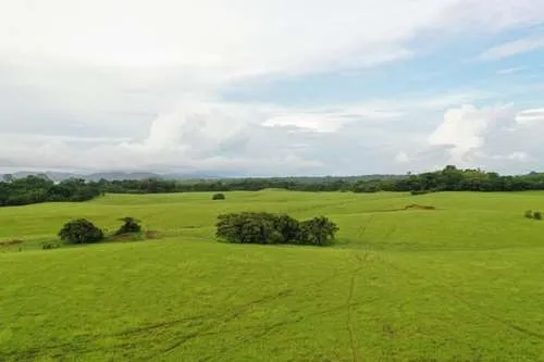 Se Vende Terreno en Santa Catalina