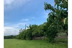 Se Vende Terreno en Santa Catalina