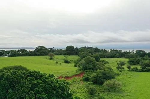 Se Vende Terreno en Santa Catalina