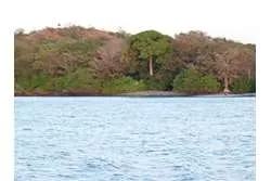 SE VENDE ESPECTACULAR PROPIEDAD EN PLAYA EL GATO