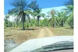 SE VENDE ESPECTACULAR PROPIEDAD EN PLAYA EL GATO