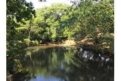 Se Vende Terreno en Lagartero, Santa Catalina