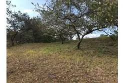 Se Vende Terreno en Santa Catalina, Veraguas. Panamá.