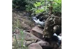 Se Vende Amplio Terreno en Santa Fe, Veraguas. Panamá.