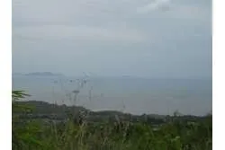 Se Vende Lote de 48 Hectáreas en Playa Leona Chorrera