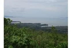 Se Vende Lote de 48 Hectáreas en Playa Leona Chorrera