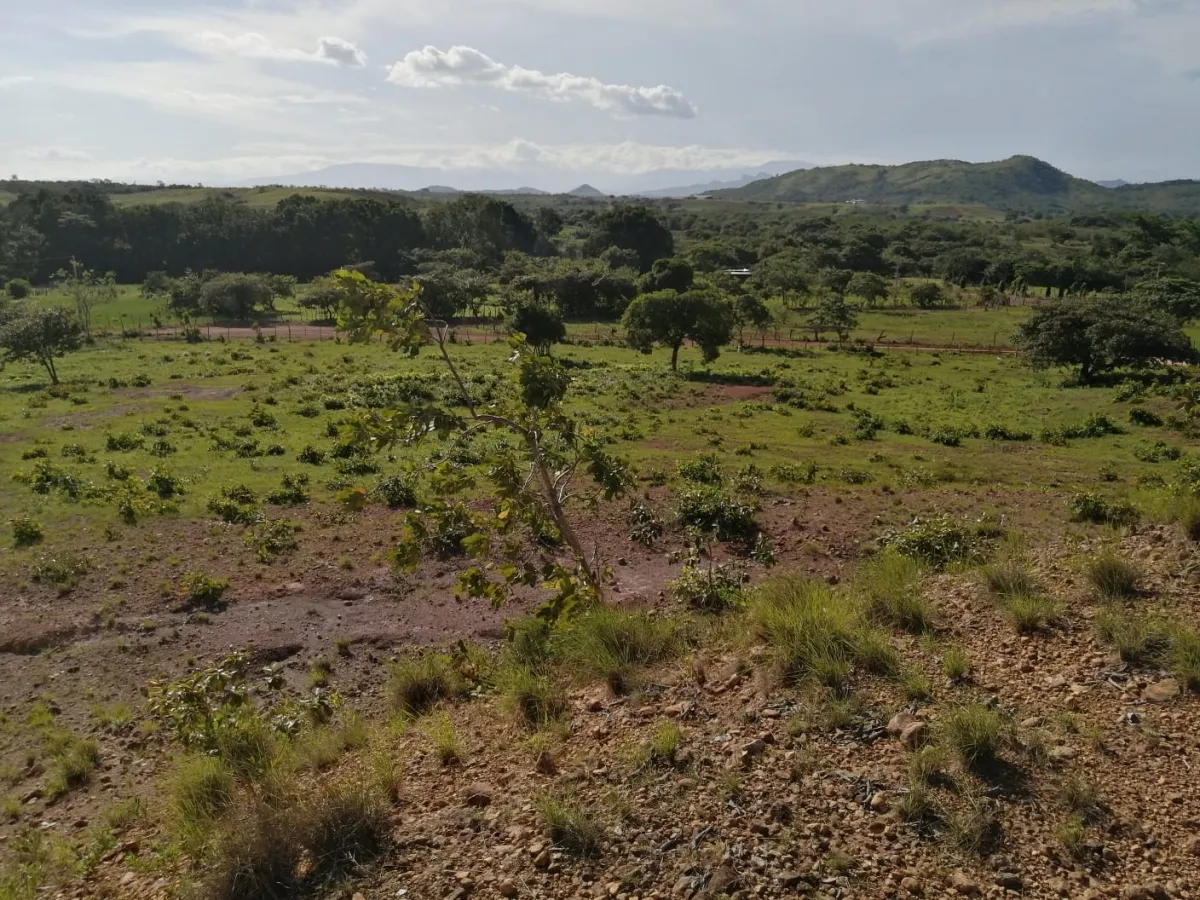 Dos hectáreas cerca de Aguadulce - plano con una colina de la ventaja con la electricidad y el pozo