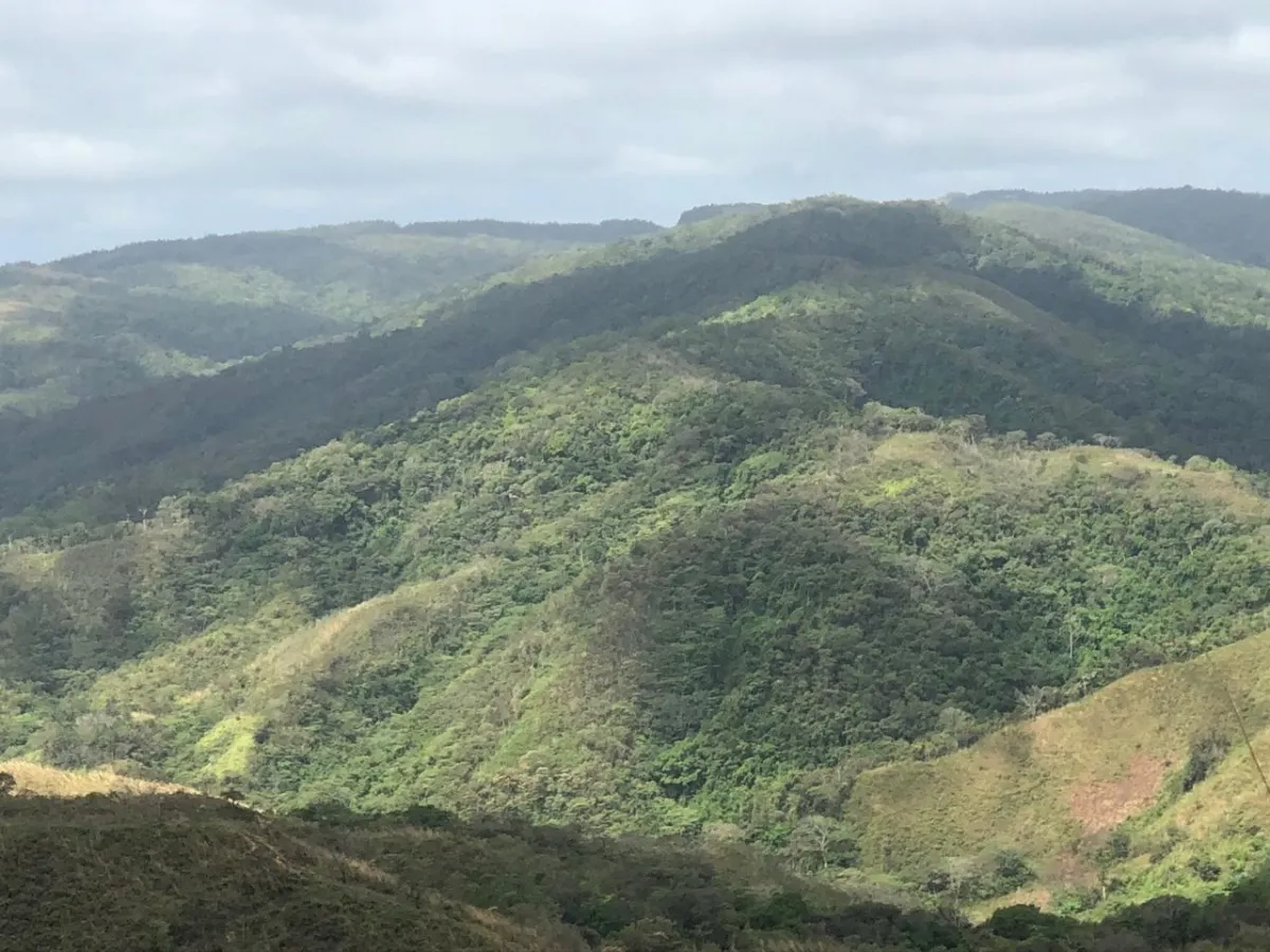 FINCA EN VENTA EN LA ONDA, LA PITALOZA, LOS POZOS, PROVINCIA DE HERRER...