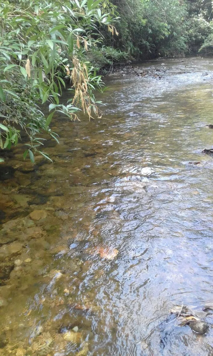 Terreno/Granja en Venta en Los Pozos