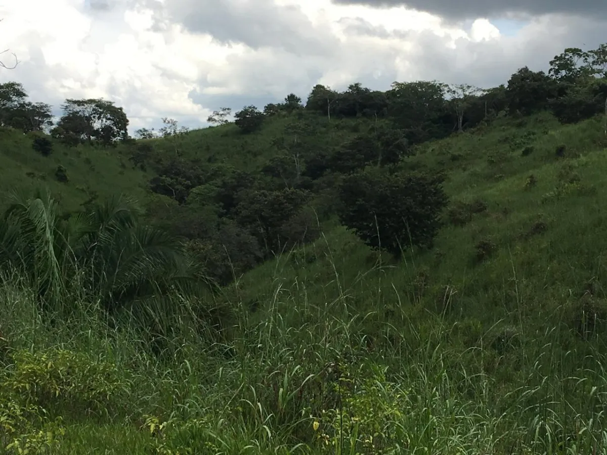 FINCA EN VENTA EN LA ONDA, LA PITALOZA, LOS POZOS, PROVINCIA DE HERRER...