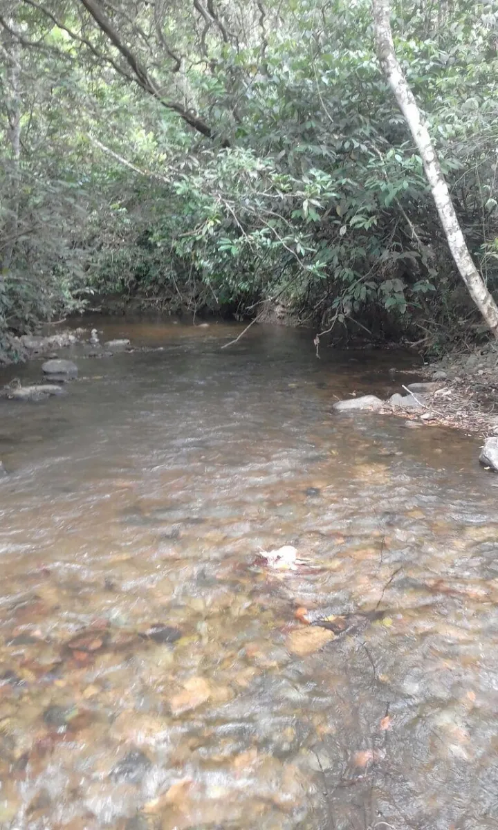 FINCA EN VENTA EN LA ONDA, LA PITALOZA, LOS POZOS, PROVINCIA DE HERRER...