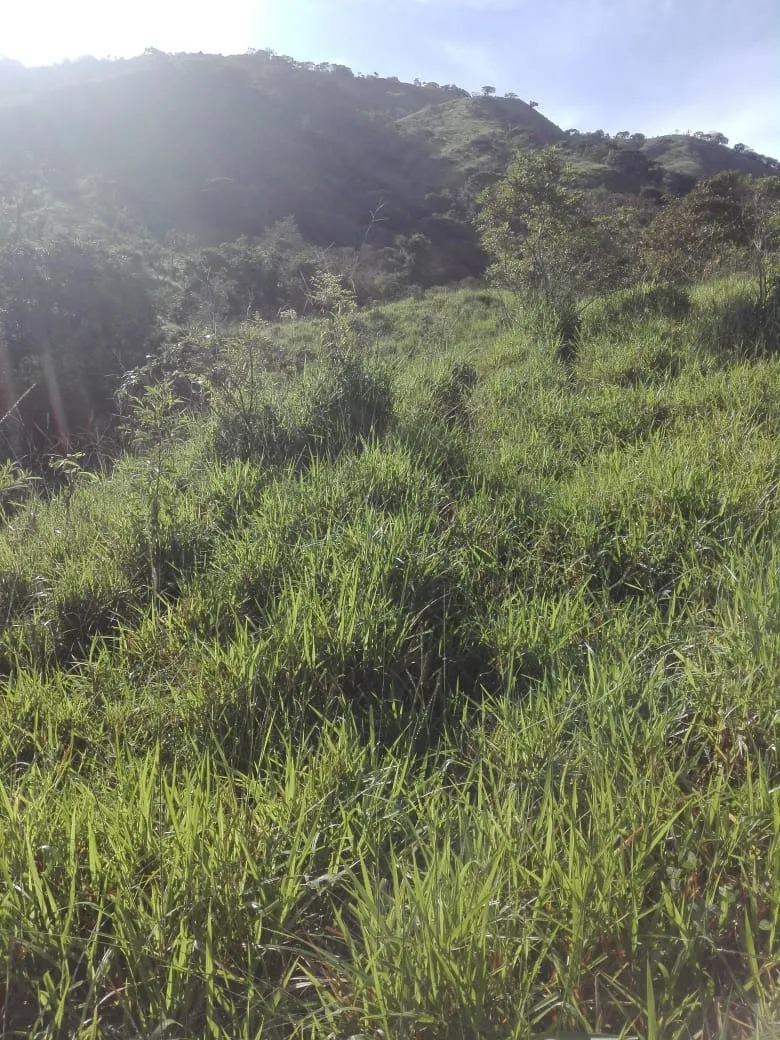 Terreno/Granja en Venta en Los Santos