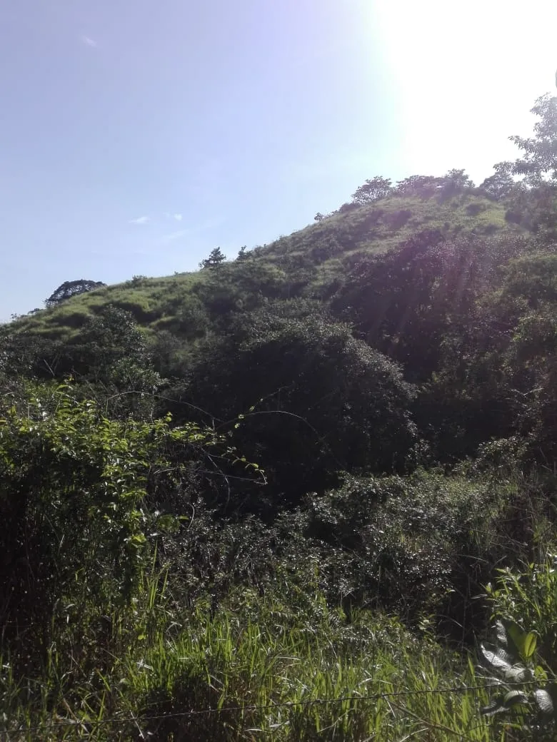 Terreno/Granja en Venta en Los Santos