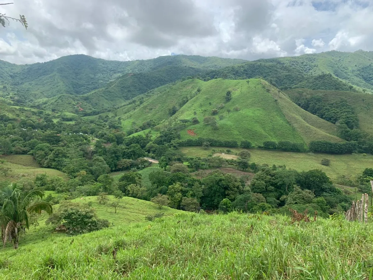 PROPIEDAD EN VENTA EN CHORRILLOS, REGION DE QUEBRADA GRANDE, VERAGUAS....