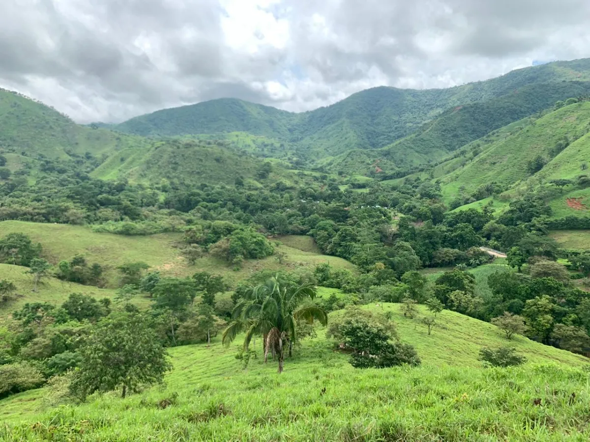 PROPIEDAD EN VENTA EN CHORRILLOS, REGION DE QUEBRADA GRANDE, VERAGUAS. 23 HECTÁREAS (56,83 ACRES).