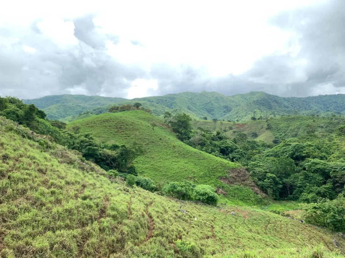 PROPIEDAD EN VENTA EN CHORRILLOS, REGION DE QUEBRADA GRANDE, VERAGUAS. 23 HECTÁREAS (56,83 ACRES).