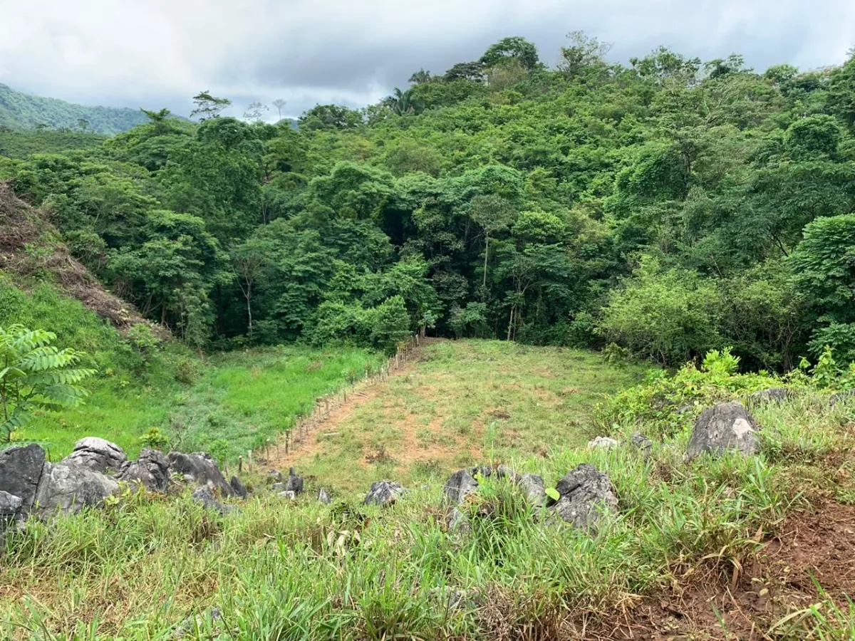 PROPIEDAD EN VENTA EN CHORRILLOS, REGION DE QUEBRADA GRANDE, VERAGUAS. 23 HECTÁREAS (56,83 ACRES).