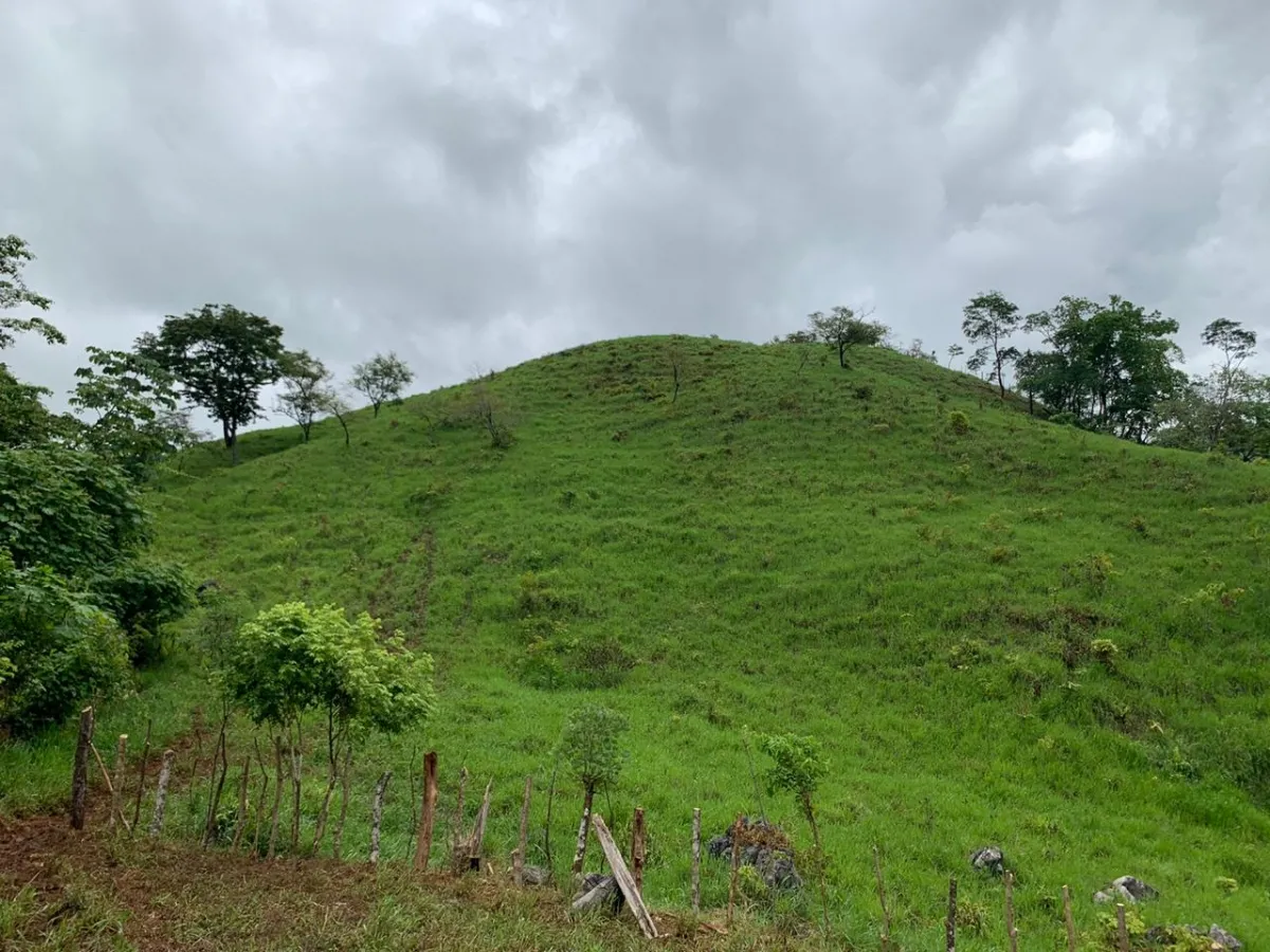 PROPIEDAD EN VENTA EN CHORRILLOS, REGION DE QUEBRADA GRANDE, VERAGUAS. 23 HECTÁREAS (56,83 ACRES).