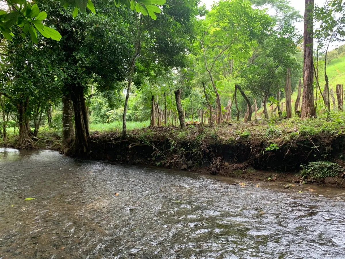 PROPIEDAD EN VENTA EN CHORRILLOS, REGION DE QUEBRADA GRANDE, VERAGUAS. 23 HECTÁREAS (56,83 ACRES).
