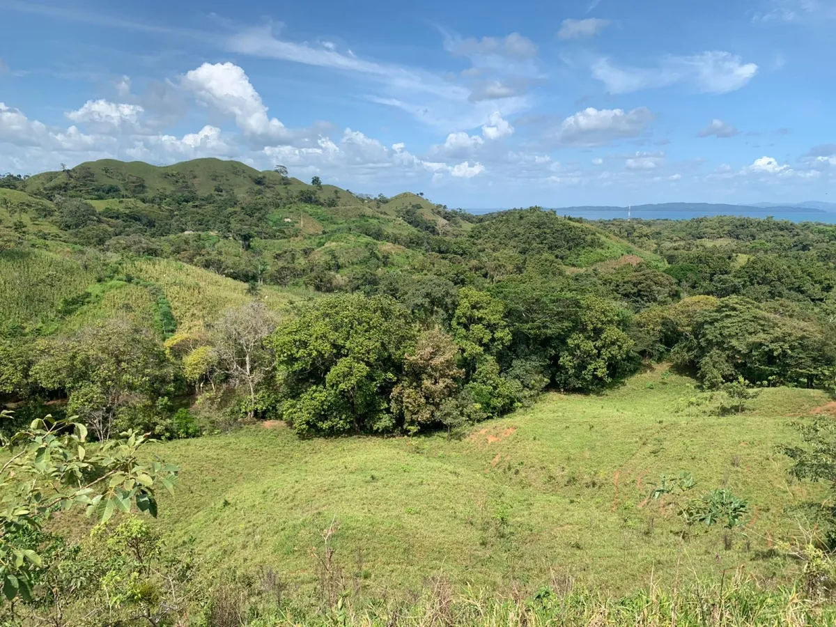 FINCA DE 89 HECTAREAS EN VENTA, VERAGUAS, PUEBLO DE HICACO, AL LADO DE...