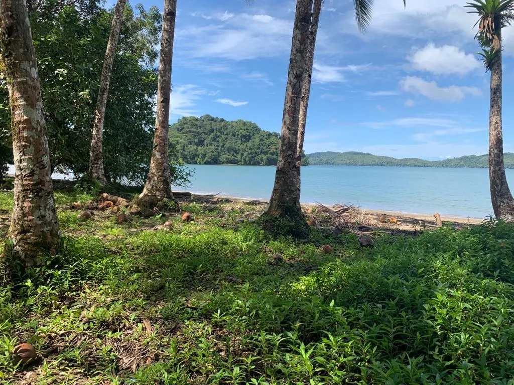 INCREÍBLE PROPIEDAD FRENTE AL MAR EN VENTA, 14 HECTÁREAS (34.59 ACRES)...