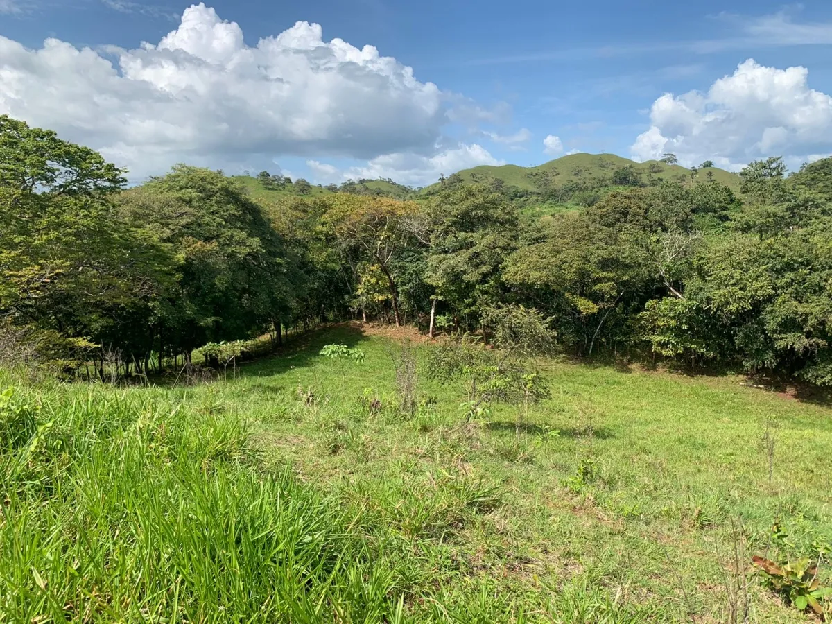SE VENDE 105 HECTAREAS (259.46 ACRES) CON VISTAS ESPECTACULARES, LA CA...