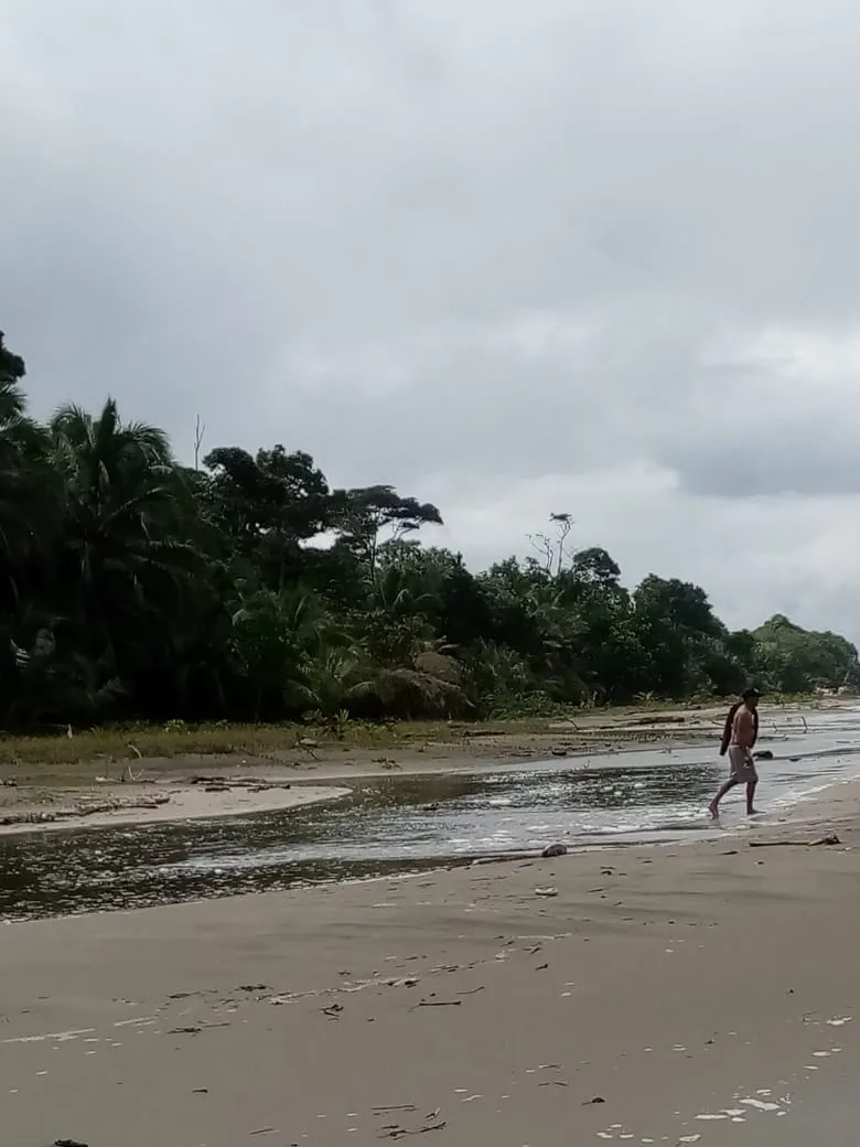 SE VENDE PROPIEDAD FRENTE AL MAR, UBICADA EN LA PLAYA EL BARCO BEJUCO,...