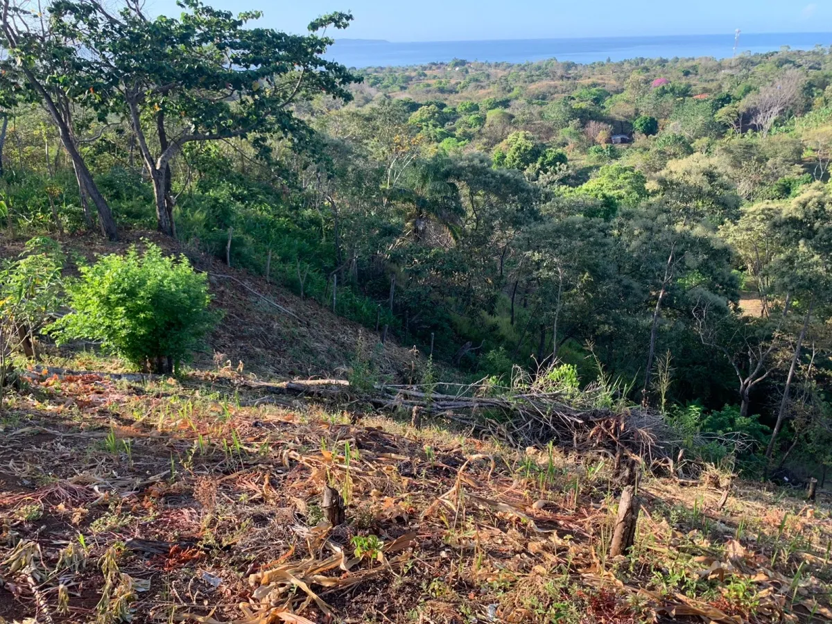 PROPIEDAD EN VENTA EN SANTA CATALINA, VERAGUAS (LA PROPIEDAD MIDE 2400...