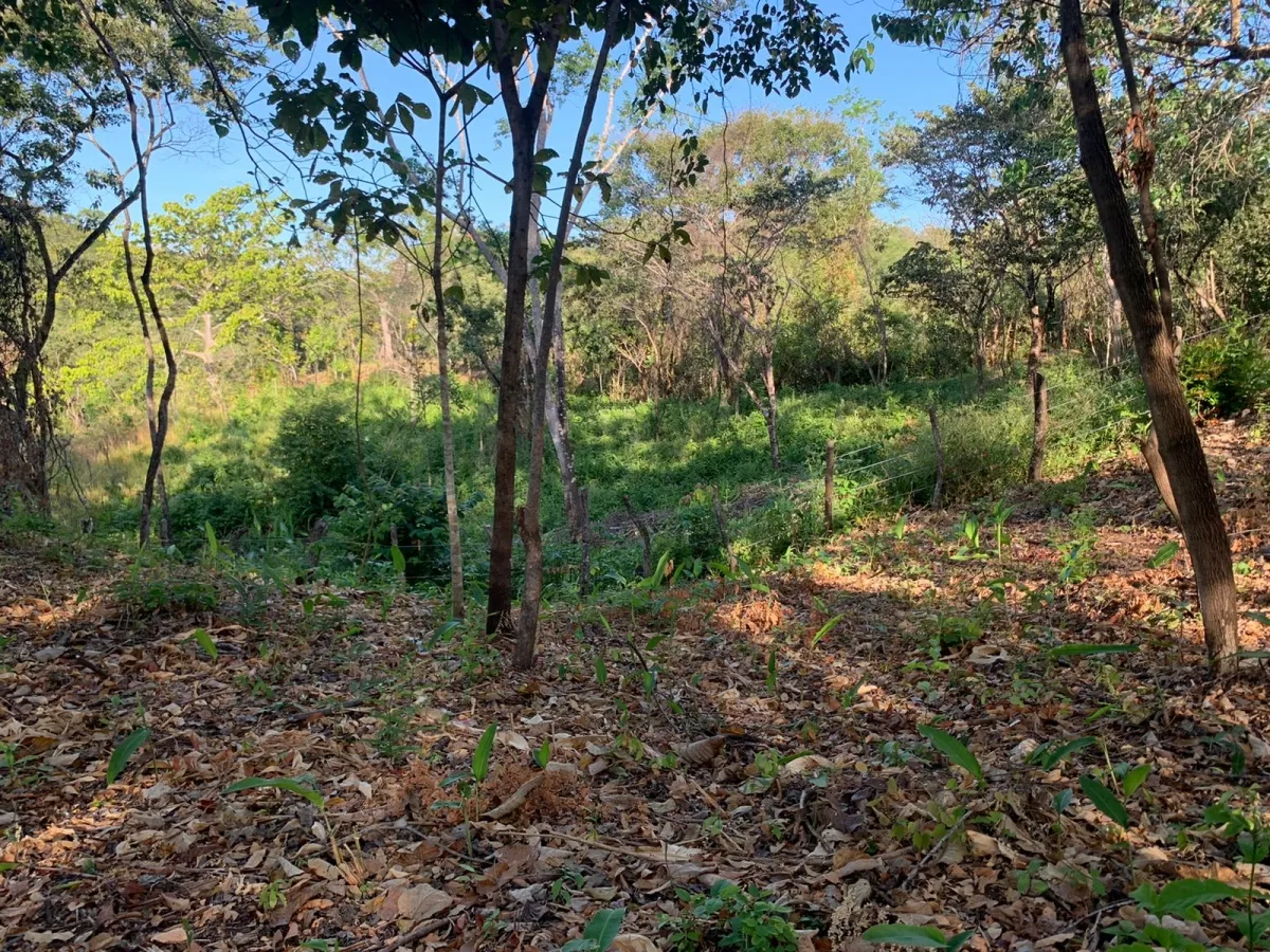 Terreno/Granja en Venta en Santa Catalina