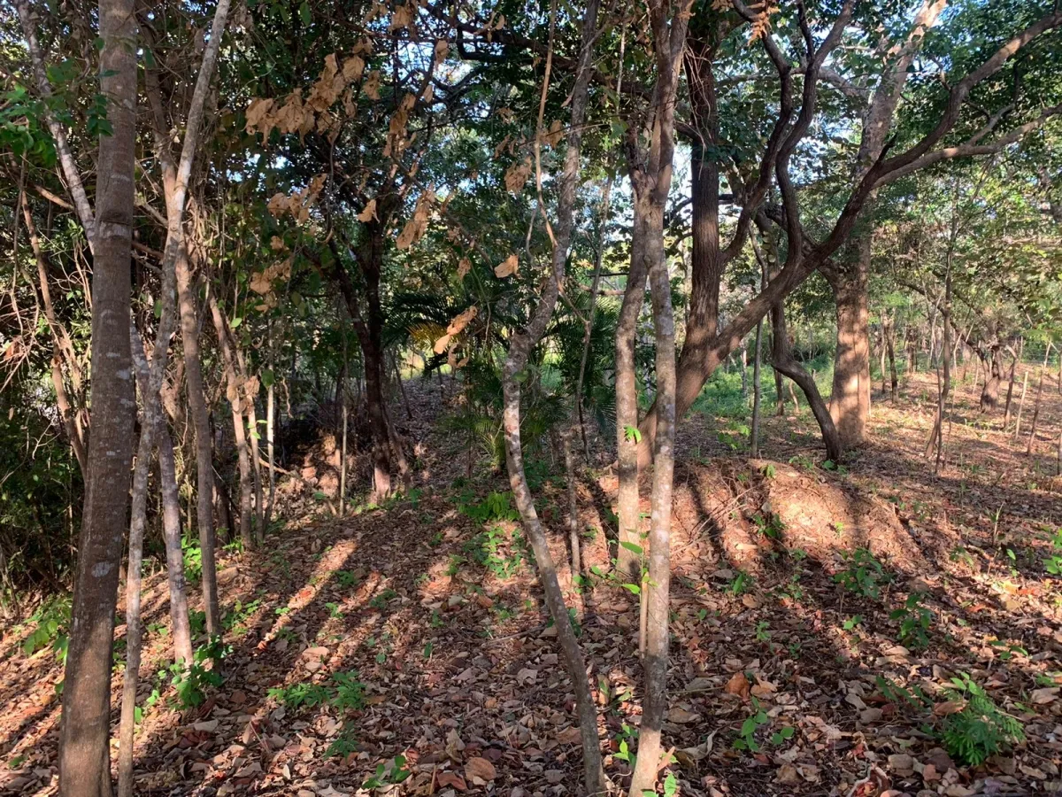 Terreno/Granja en Venta en Santa Catalina