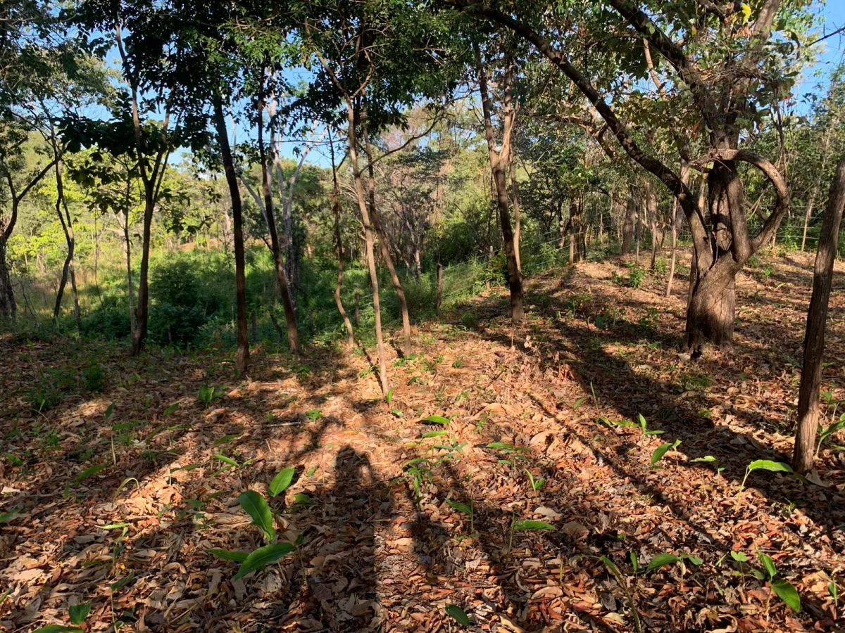 Terreno/Granja en Venta en Santa Catalina
