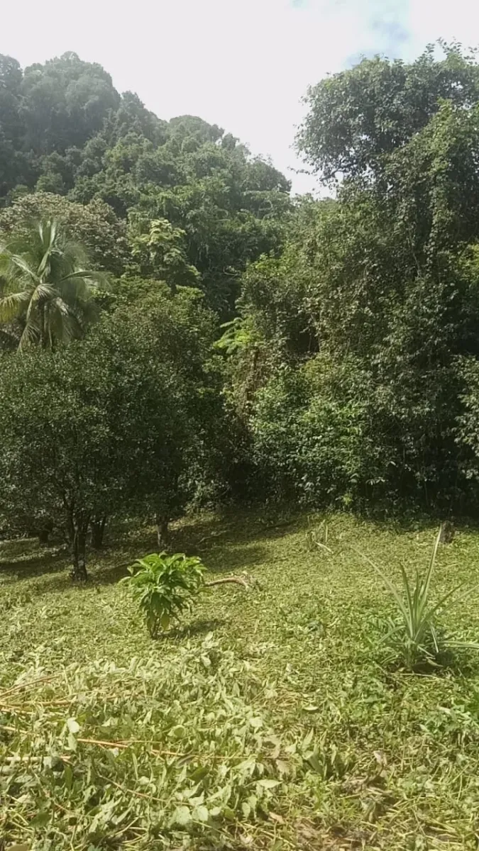 PROPIEDAD EN VENTA EN PLAYA NARANJITO 14.5 HECTÁREAS (35.83 ACRES), PU...