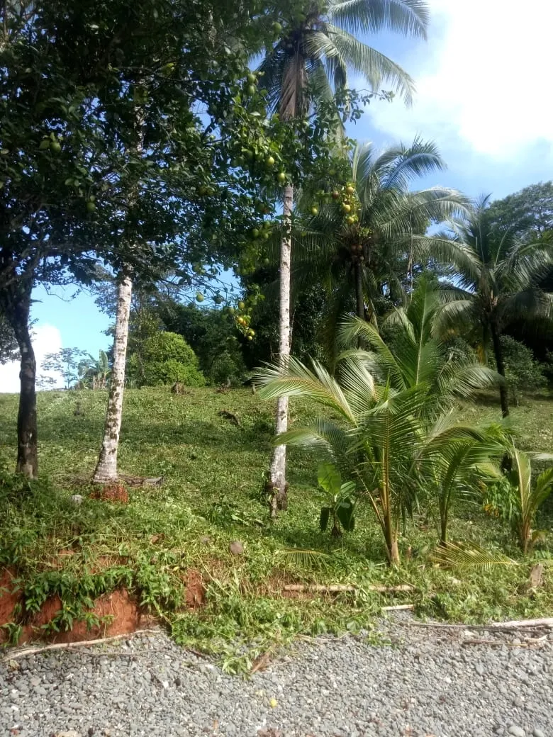 PROPIEDAD EN VENTA EN PLAYA NARANJITO 14.5 HECTÁREAS (35.83 ACRES), PU...