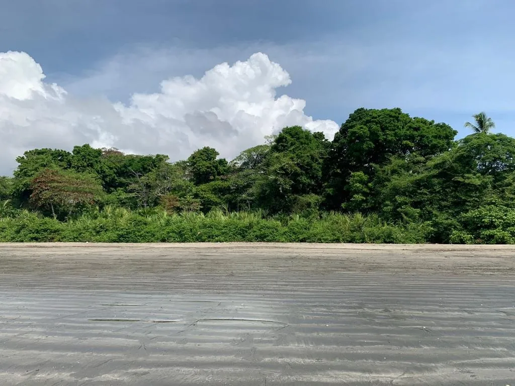 INCREIBLE PROPIEDAD DE 3 HECTAREAS (7.41 ACRES) FRENTE AL MAR EN VENTA...