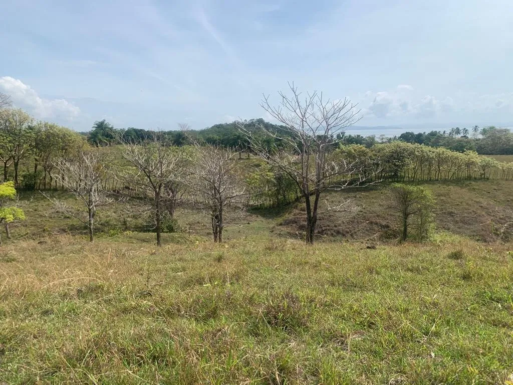 INCREIBLE PROPIEDAD DE 3 HECTAREAS (7.41 ACRES) FRENTE AL MAR EN VENTA...