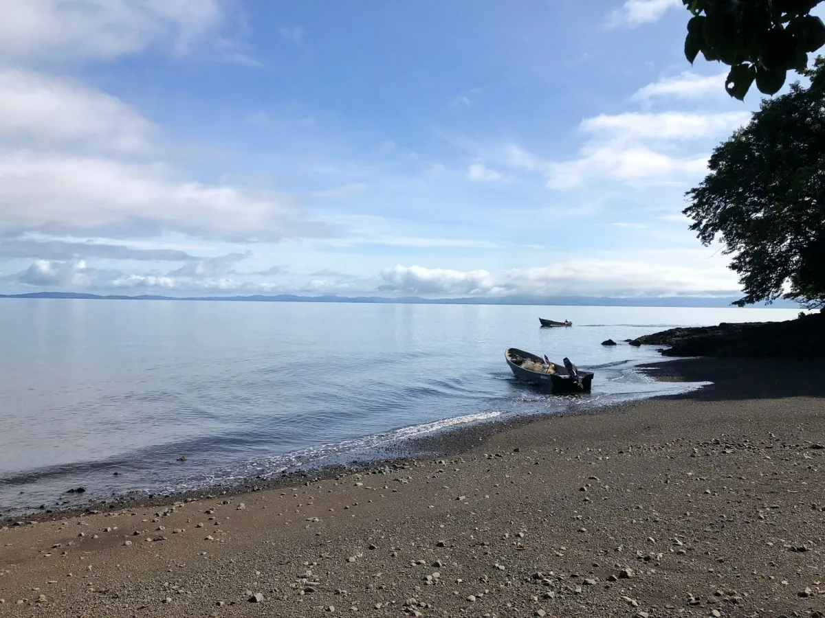 PROPIEDAD EN VENTA EN ISLA GOBERNADORA, VERAGUAS. 1,2 HECTÁREAS (2,96 ...