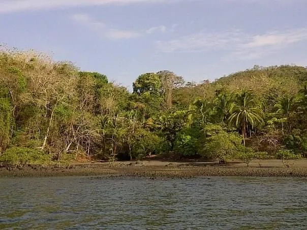 PROPIEDAD EN VENTA EN ISLA GOBERNADORA, VERAGUAS. 1,2 HECTÁREAS (2,96 ACRES). PROPIEDAD FRENTE AL MAR.