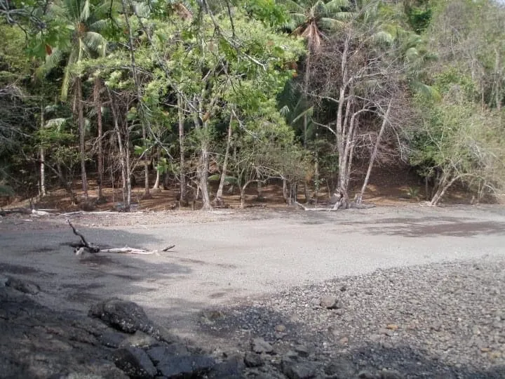 PROPIEDAD EN VENTA EN ISLA GOBERNADORA, VERAGUAS. 2.5 HECTÁREAS (6.17 ACRES).PROPIEDAD FRENTE AL MAR.