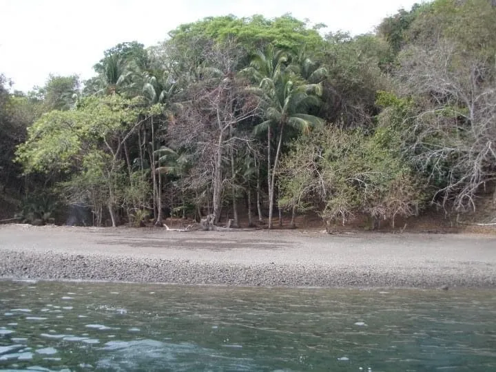 PROPIEDAD EN VENTA EN ISLA GOBERNADORA, VERAGUAS. 2.5 HECTÁREAS (6.17 ACRES).PROPIEDAD FRENTE AL MAR.