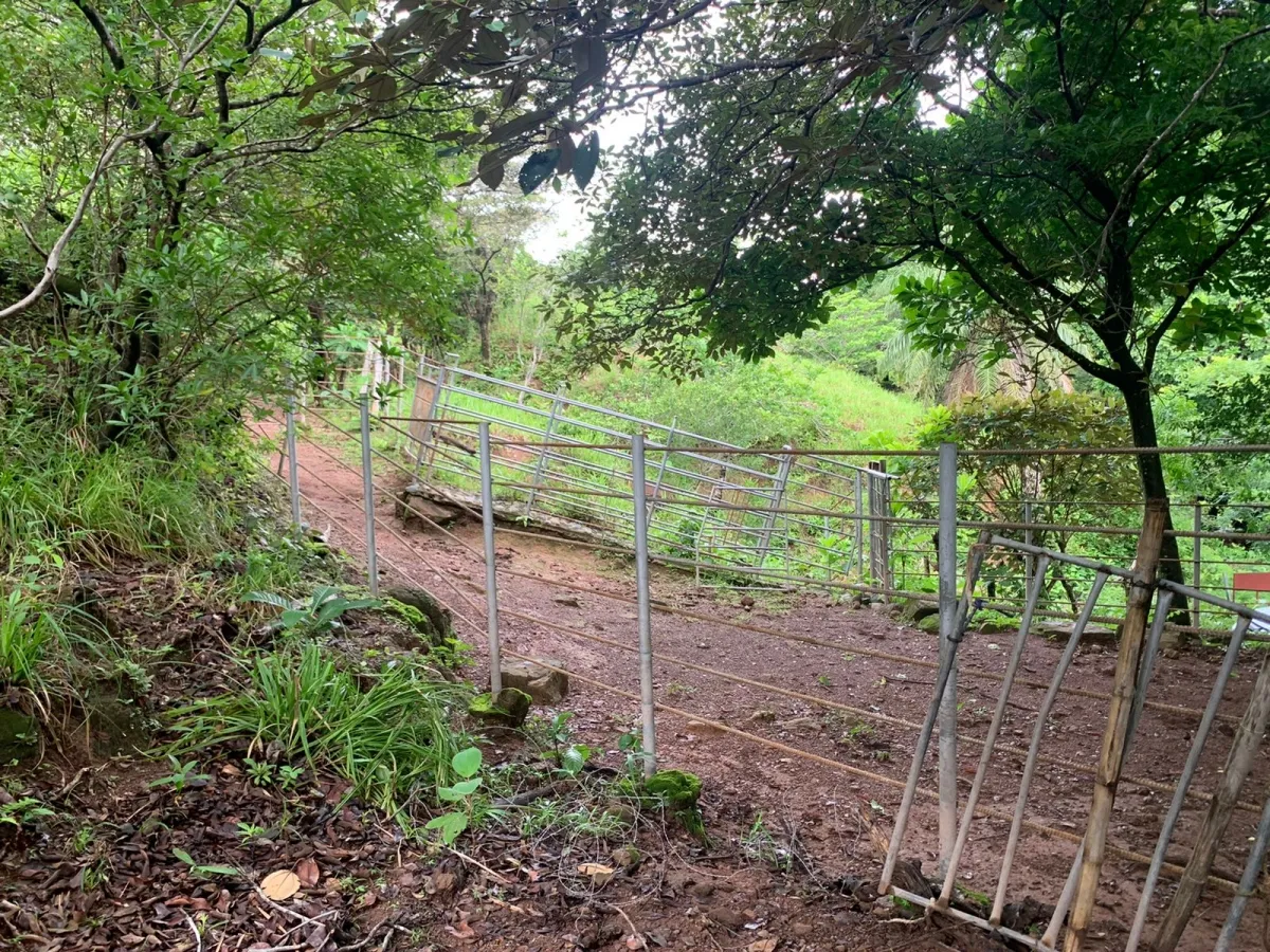 PROPIEDAD EN VENTA EN SANTA FE, VERAGUAS. 39 HECTÁREAS (96,37 ACRES).